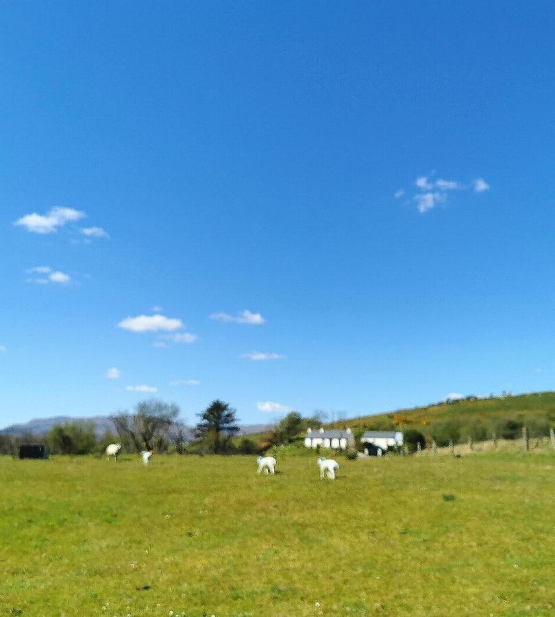New Listing - Ladybird Cottage - Donegal - Wild Atlantic Way Donegal Town Екстериор снимка