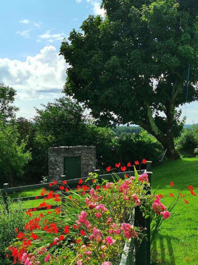 New Listing - Ladybird Cottage - Donegal - Wild Atlantic Way Donegal Town Екстериор снимка