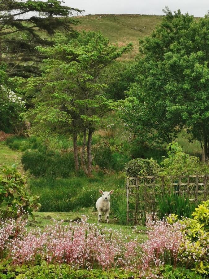 New Listing - Ladybird Cottage - Donegal - Wild Atlantic Way Donegal Town Екстериор снимка